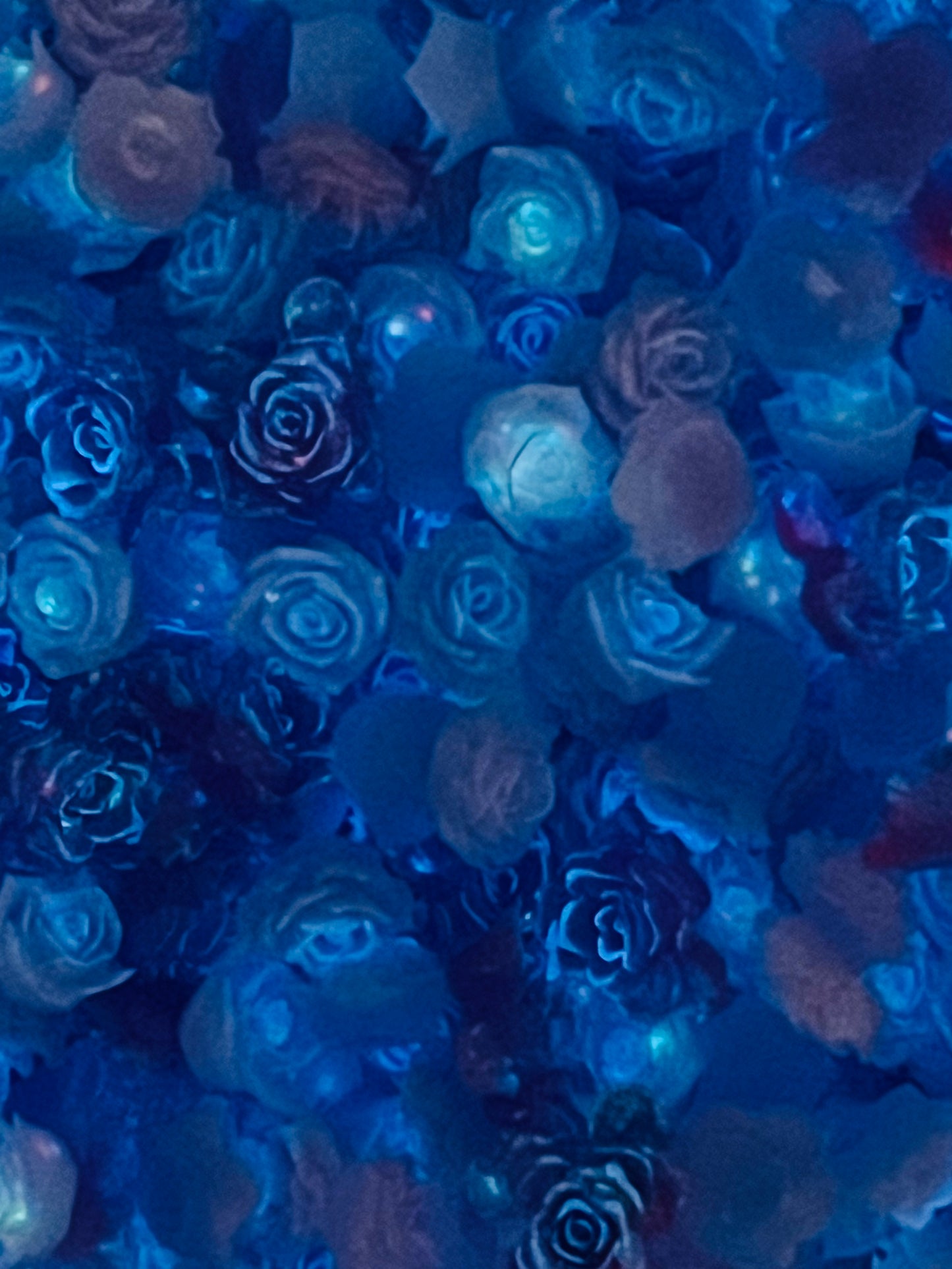 Soft Glow Color Change Roses